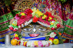 Daily Darshan