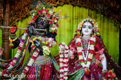 Daily Darshan