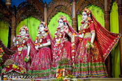 Daily Darshan