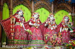 Daily Darshan
