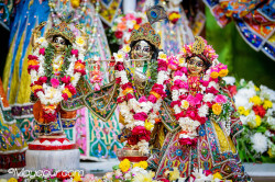 Daily Darshan