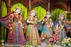 Daily Darshan