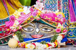 Daily Darshan