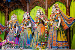 Daily Darshan