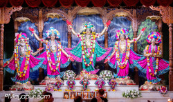 Daily Darshan