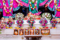 Daily Darshan
