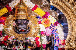 Daily Darshan
