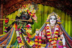 Daily Darshan
