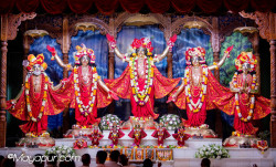 Daily Darshan
