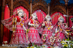 Daily Darshan