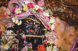 Daily Darshan