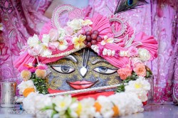Daily Darshan