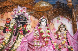 Daily Darshan