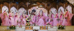 Daily Darshan