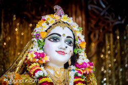 Daily Darshan