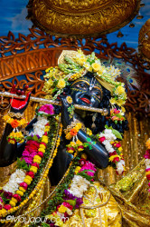 Daily Darshan