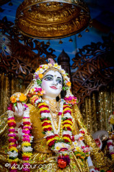 Daily Darshan
