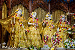 Daily Darshan
