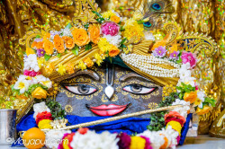 Daily Darshan