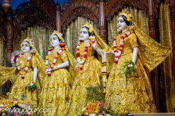 Daily Darshan