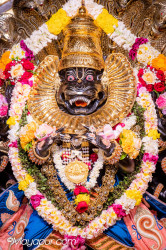 Daily Darshan