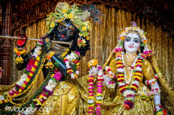 Daily Darshan