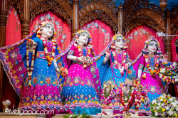 Daily Darshan