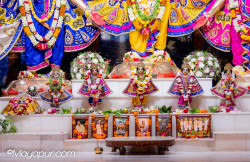 Daily Darshan
