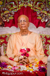 Daily Darshan