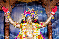 Daily Darshan