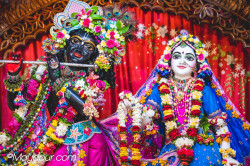 Daily Darshan