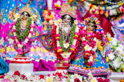 Daily Darshan