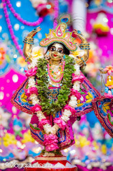 Daily Darshan