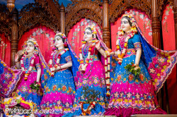Daily Darshan
