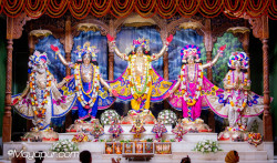 Daily Darshan