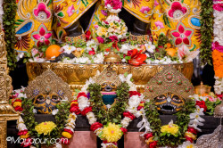 Daily Darshan