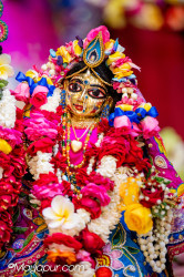 Daily Darshan