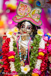 Daily Darshan