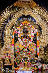Daily Darshan