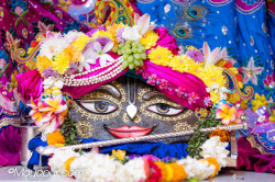 Daily Darshan