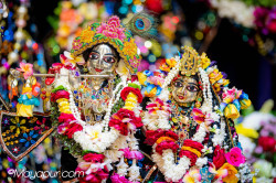 Daily Darshan