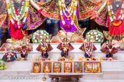 Daily Darshan