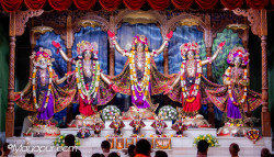 Daily Darshan