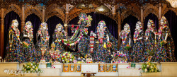 Daily Darshan