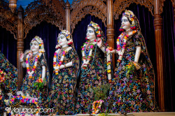 Daily Darshan