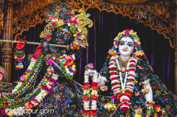 Daily Darshan
