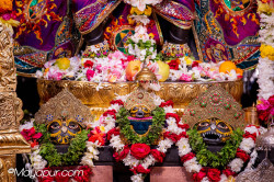 Daily Darshan