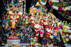 Daily Darshan