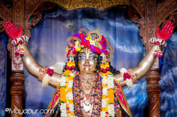 Daily Darshan