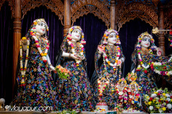 Daily Darshan